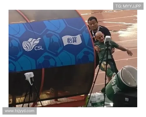 李镇全疑似辱骂米特里策 口吐脏话染红